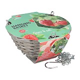 Buzzy Happy Hanging Basket Aardbei