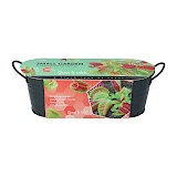 Buzzy Teiltje Venus Fly Trap