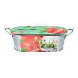 Buzzy Aardbeien Teiltje