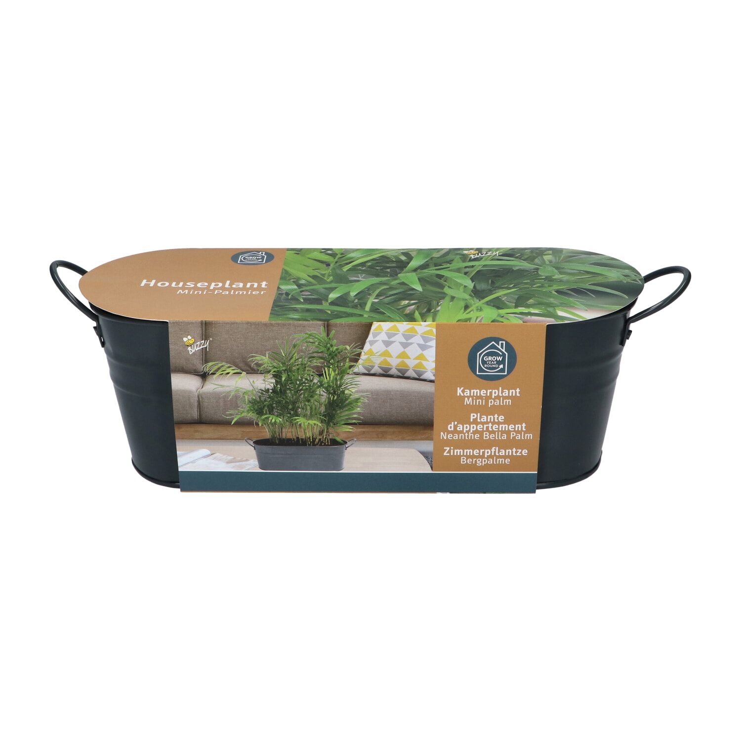 Buzzy Teiltje Met Minipalm