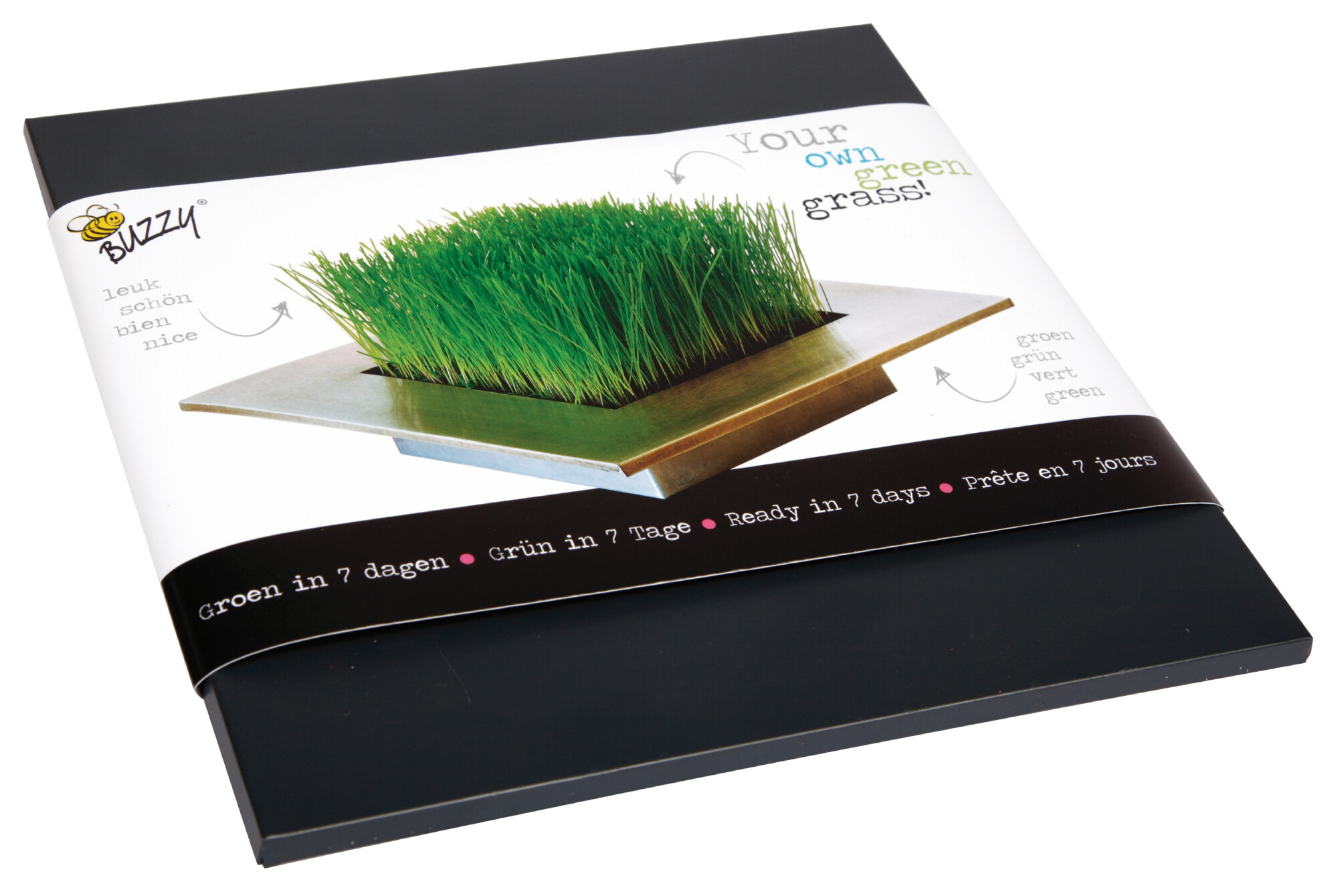 Buzzy Trendy Gras In Zinken Teiltje