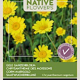 Buzzy Native Flowers Gele Ganzenbloem Zaden