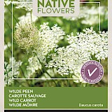 Buzzy Native Flowers Wilde Peen Zaden
