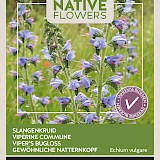 Buzzy Native Flowers Slangenkruid Zaden