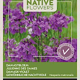 Buzzy Native Flowers Damastbloem Zaden