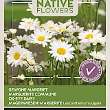Buzzy Native Flowers Gewone Margriet Zaden