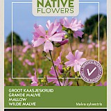 Buzzy Native Flowers Groot Kaasjeskruid Zaden