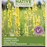 Buzzy Native Flowers Koningskaars Zaden