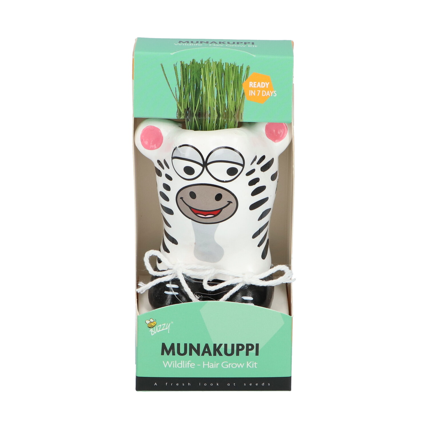Munakuppi Zebra