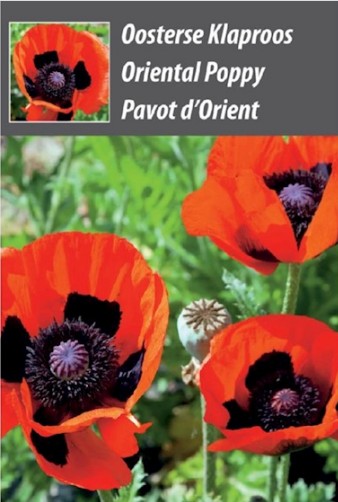 Weggeef Zakje Oosterse Klaproos