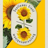 Weggeef Zakje Zonnebloem Zaden