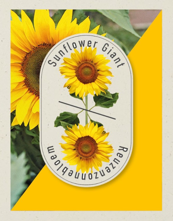 Weggeef Zakje Zonnebloem Zaden