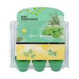 Mini Kweekset Keukenkruiden