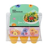 Mini Kweekset Eetbare Bloemen