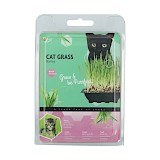 Mini Kweekset Kattengras