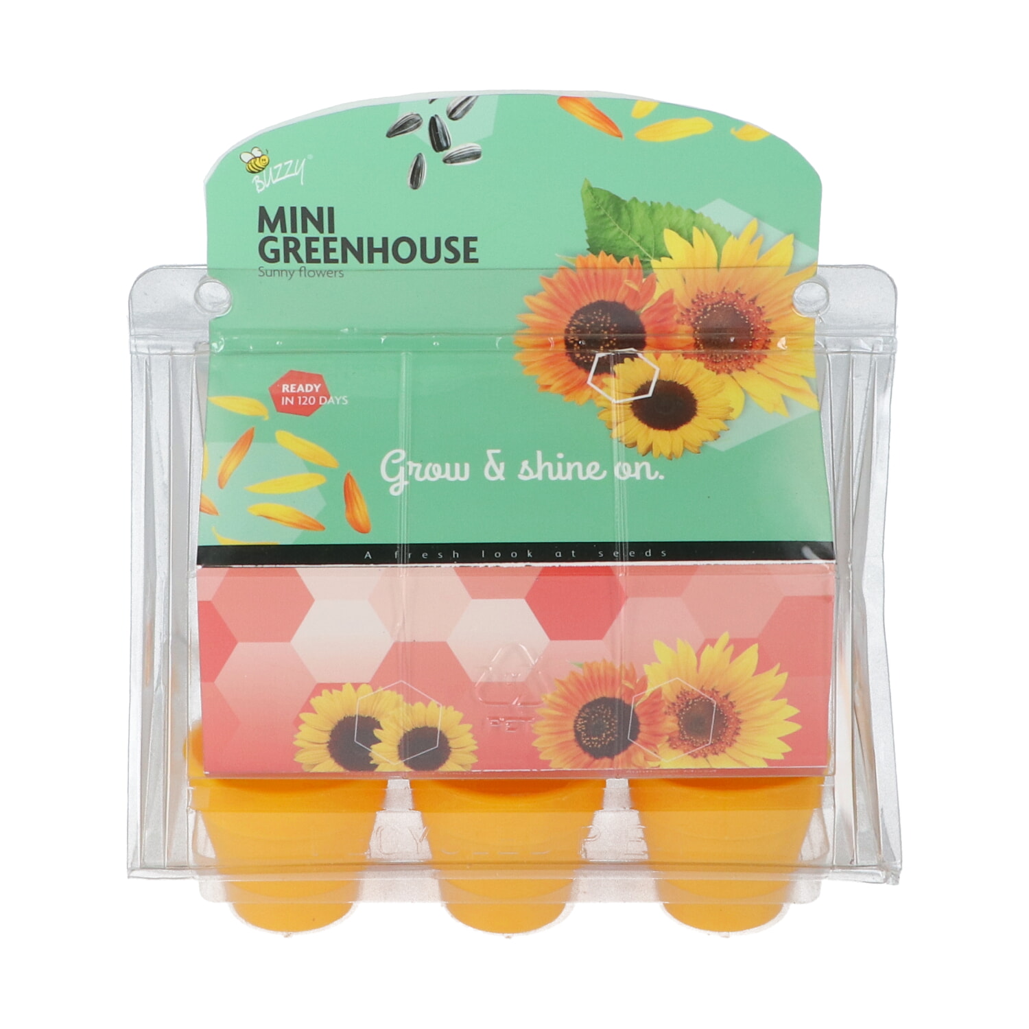 Mini Kweekset Zonnebloemen