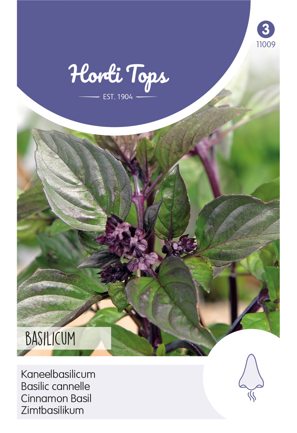 HT Kaneelbasilicum Zaden
