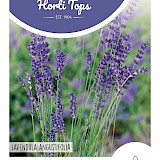 HT Echte Lavendel Zaden