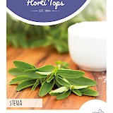 HT Stevia Zaden Suikerplantje