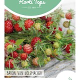 HT Aardbei Zaden Baron von Solemacher
