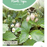 HT Aardbei Zaden Yellow Cream