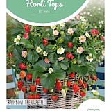 HT Aardbei Zaden Rainbow Treasure F1