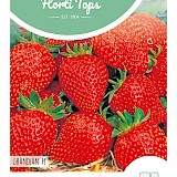 HT Aardbei Zaden Grandian F1