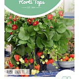 HT Aardbei Zaden Ruby Ann F1