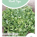 HT Andijvie Zaden Breedblad Volhart Winter