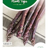HT Asperge Zaden Albenga F1