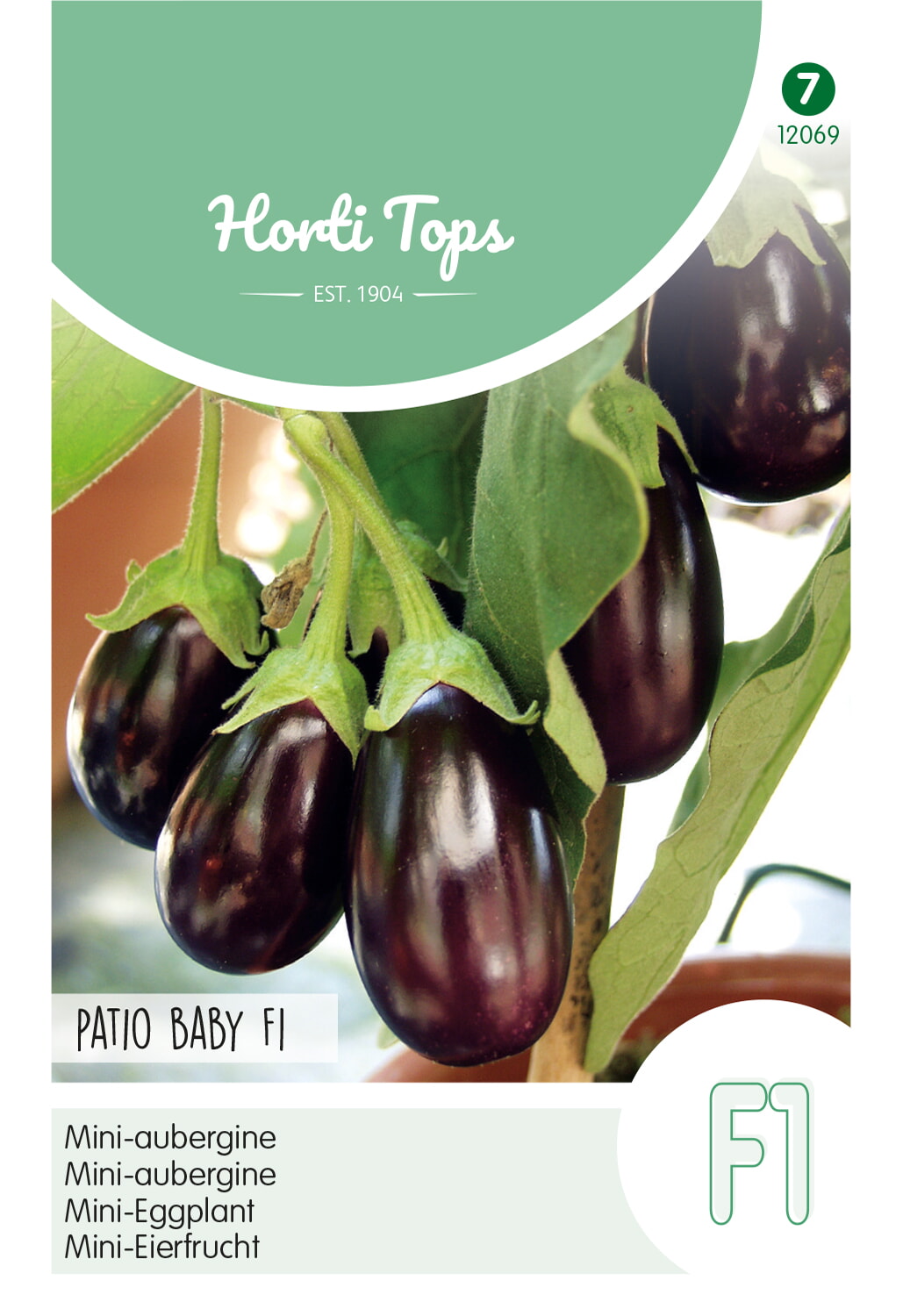 HT Mini-aubergine Zaden Patio Baby F1