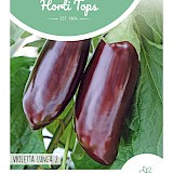 HT Aubergine Zaden Violetta Lunga 2