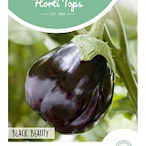 HT Aubergine Zaden Black Beauty