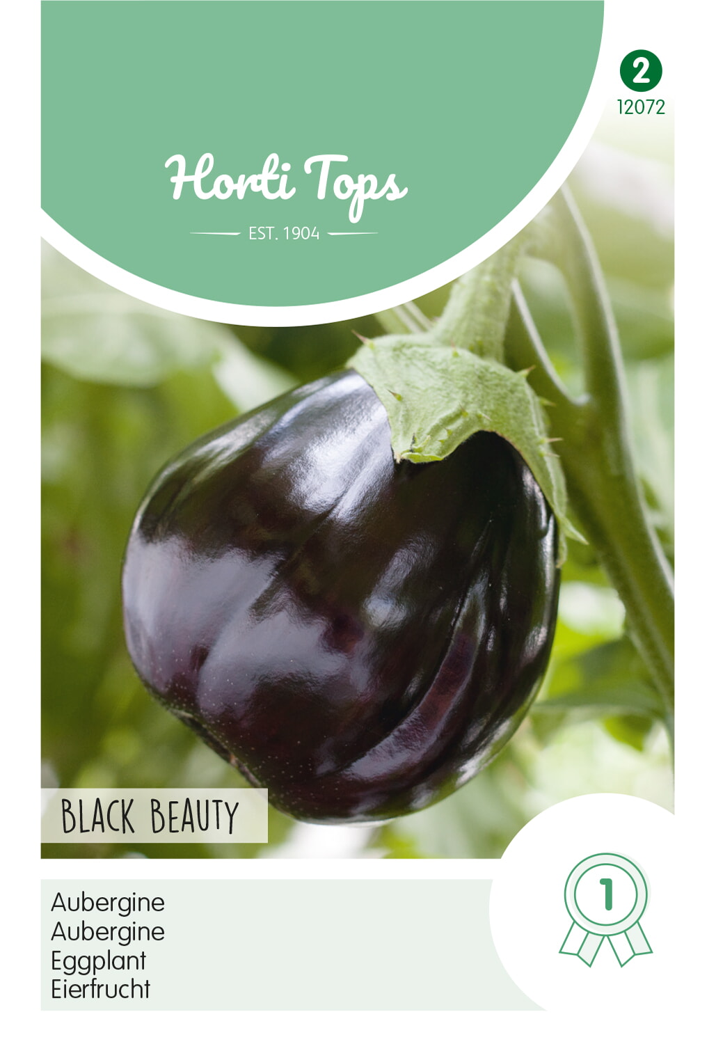 HT Aubergine Zaden Black Beauty