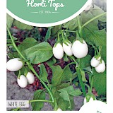 HT Aubergine Zaden White Egg