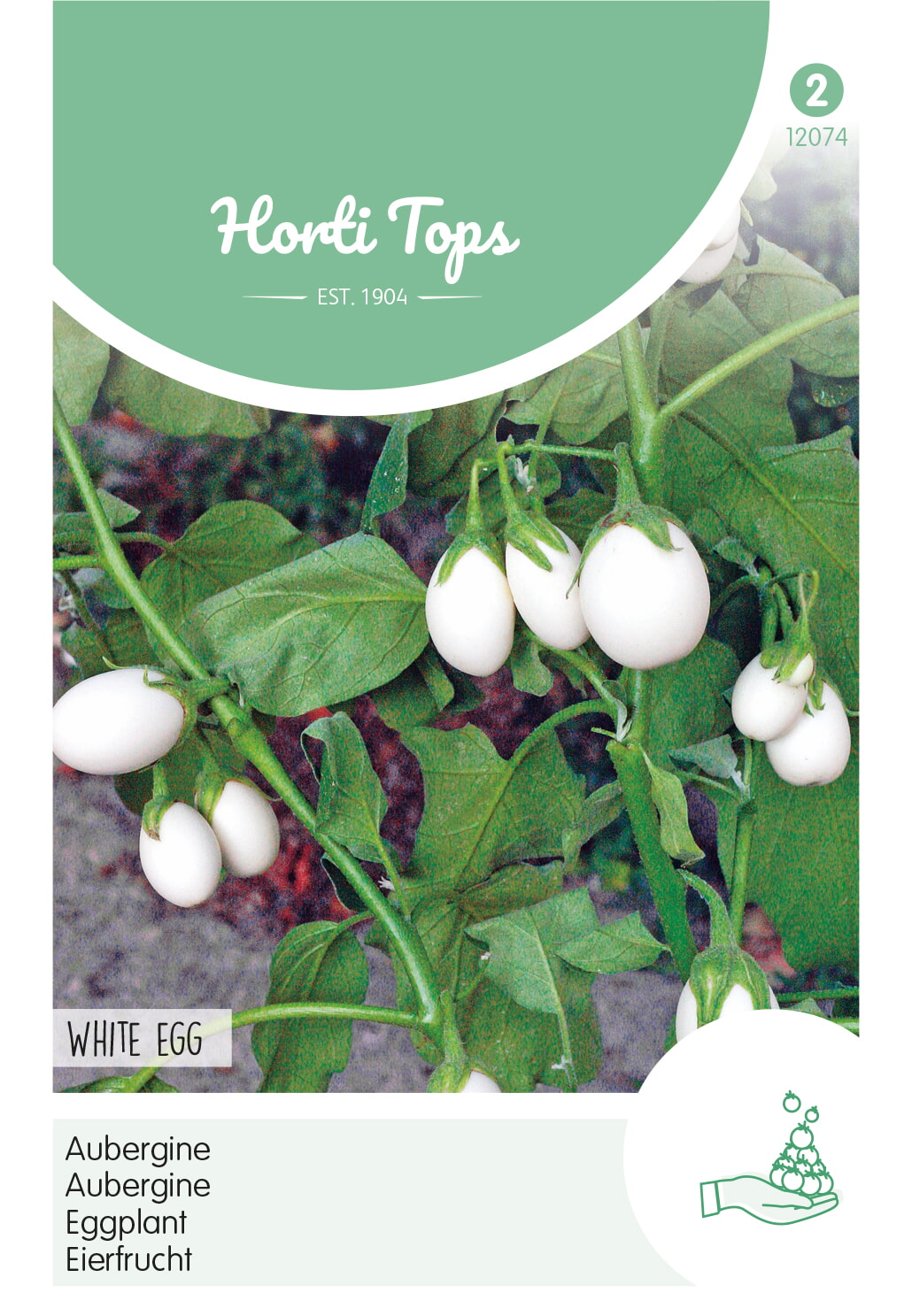 HT Aubergine Zaden White Egg