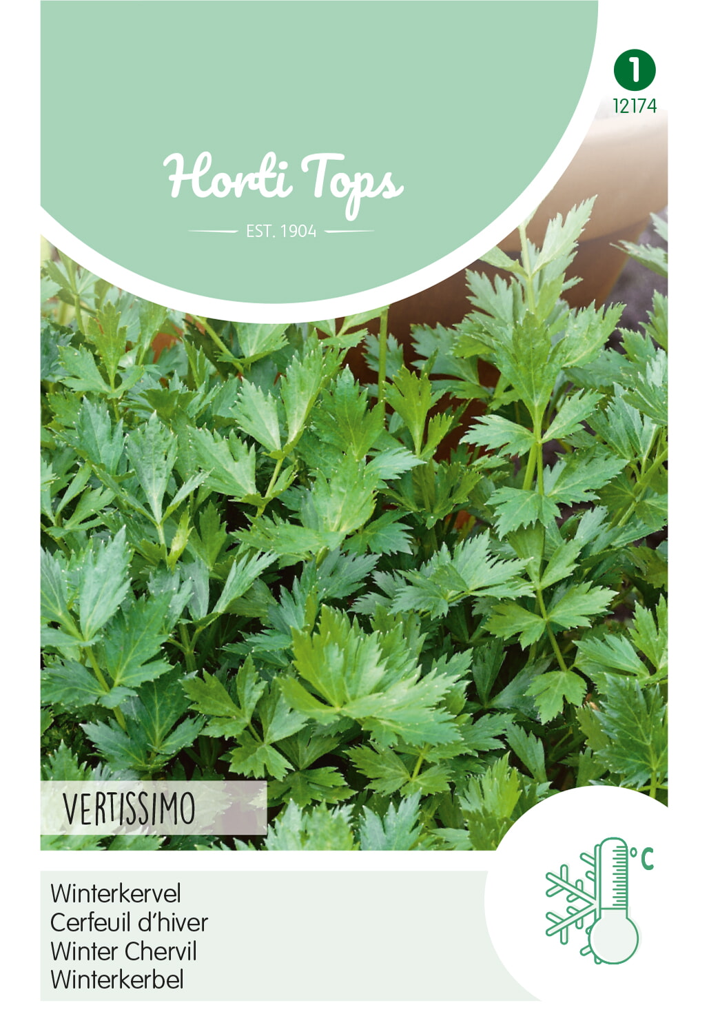 HT Winterkervel Zaden Vertissimo