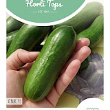 HT Snackkomkommer Zaden Iznik F1