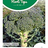 HT Broccoli Zaden Calabrese Natalino