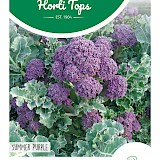 HT Broccoli Zaden Summer Purple