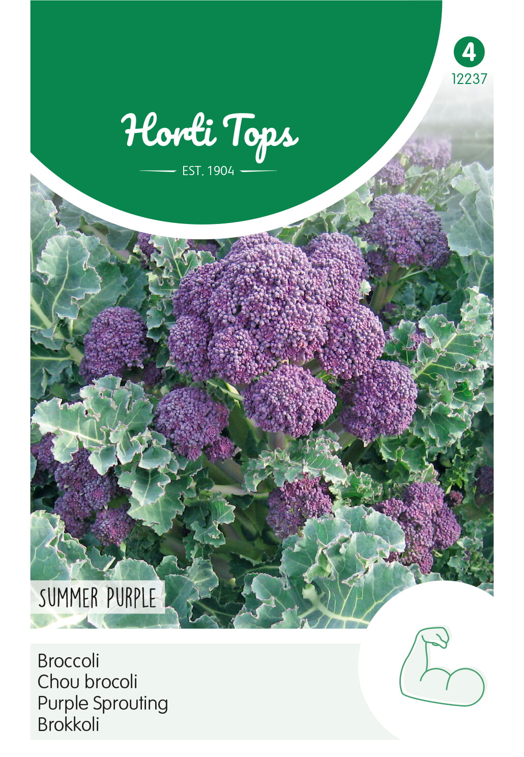 HT Broccoli Zaden Summer Purple