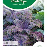 HT Boerenkool Zaden Scarlet Paars
