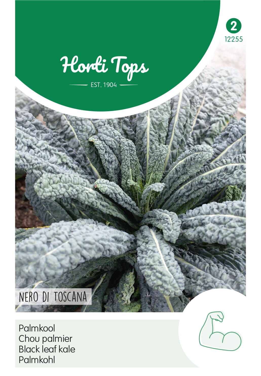 HT Palmkool Zaden Nero di Toscana