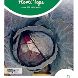 HT Rode Kool Zaden Roodkop
