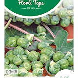 HT Spruitkool Zaden Roodnerf