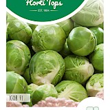 HT Spruitkool Zaden Igor F1
