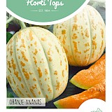 HT Meloen Zaden Oranje Ananas