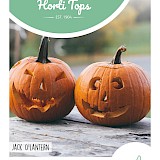 HT Pompoen Zaden Halloween