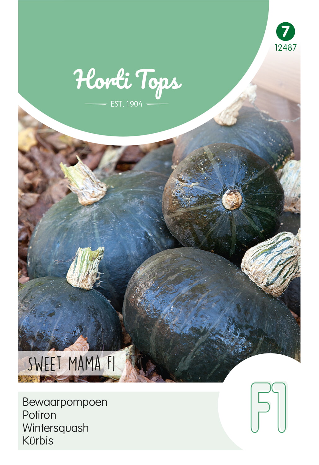 HT Pompoen Zaden Sweet Mama F1