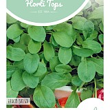 HT Rucola Zaden Eruca Sativa